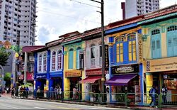 Desker Road Conservation Area (D8), Shop House #553532461